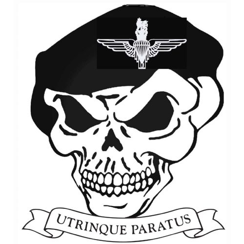 Para Cap Badge Skull Sticker